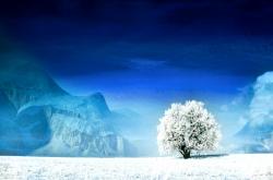英雄联盟总决赛时间-冰与火的绝唱，当维京战吼撕裂星条旗，登贝莱的致命一击为2026世界杯D组写下唯一剧本