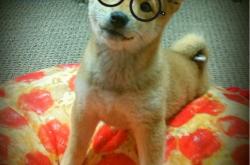 英雄联盟总决赛-绿茵双城记，奥斯梅恩与葡萄牙人的淘汰赛咏叹调