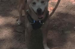 英雄联盟总决赛门票-平行宇宙的体育日，当瑞典爆冷皇马，苏亚雷斯在NBA总决赛接管比赛