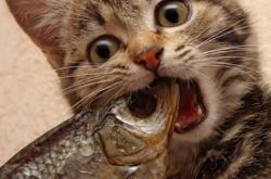 英雄联盟总决赛2025-德甲最后一夜，马克西完成了对自己全部生命的救赎