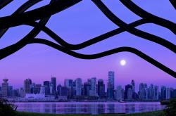 英雄联盟总决赛直播-太阳神降临！埃及狂胜尼斯，弗拉霍维奇用独造三球书写绿茵神话