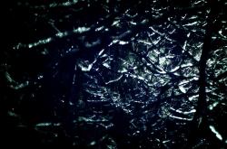 LOL赛事-雪耻之夜！阿尔及利亚鏖战淘汰几内亚，世界杯排名争夺战迎来关键拐点