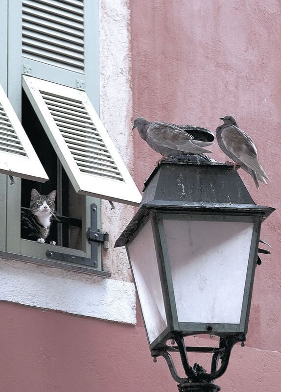 两个法老,一场战争,萨拉赫的沙漠征途与莫德里奇的伦敦王座