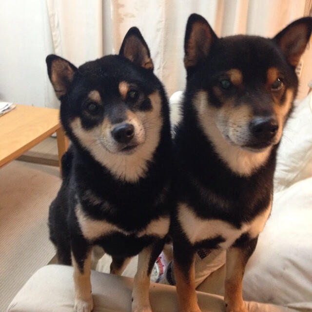 统治艺术，节奏与稳定如何塑造现代篮球的胜负密码