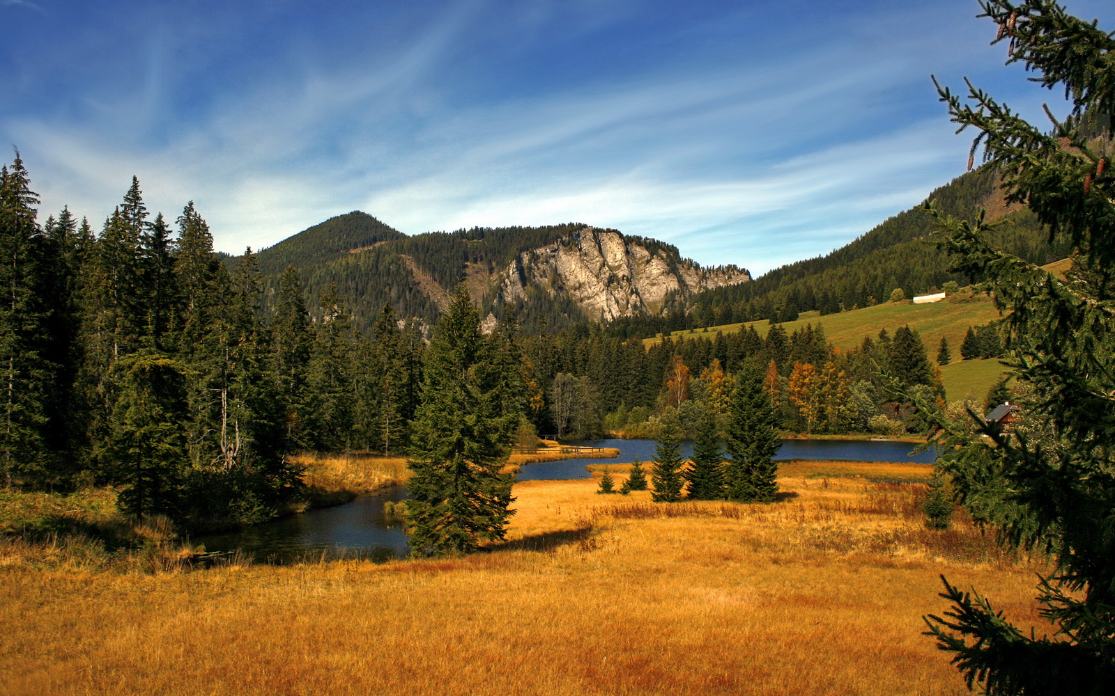 波斯铁骑的终极封锁,里昂的伊萨克难题与伊朗战术的无解之谜