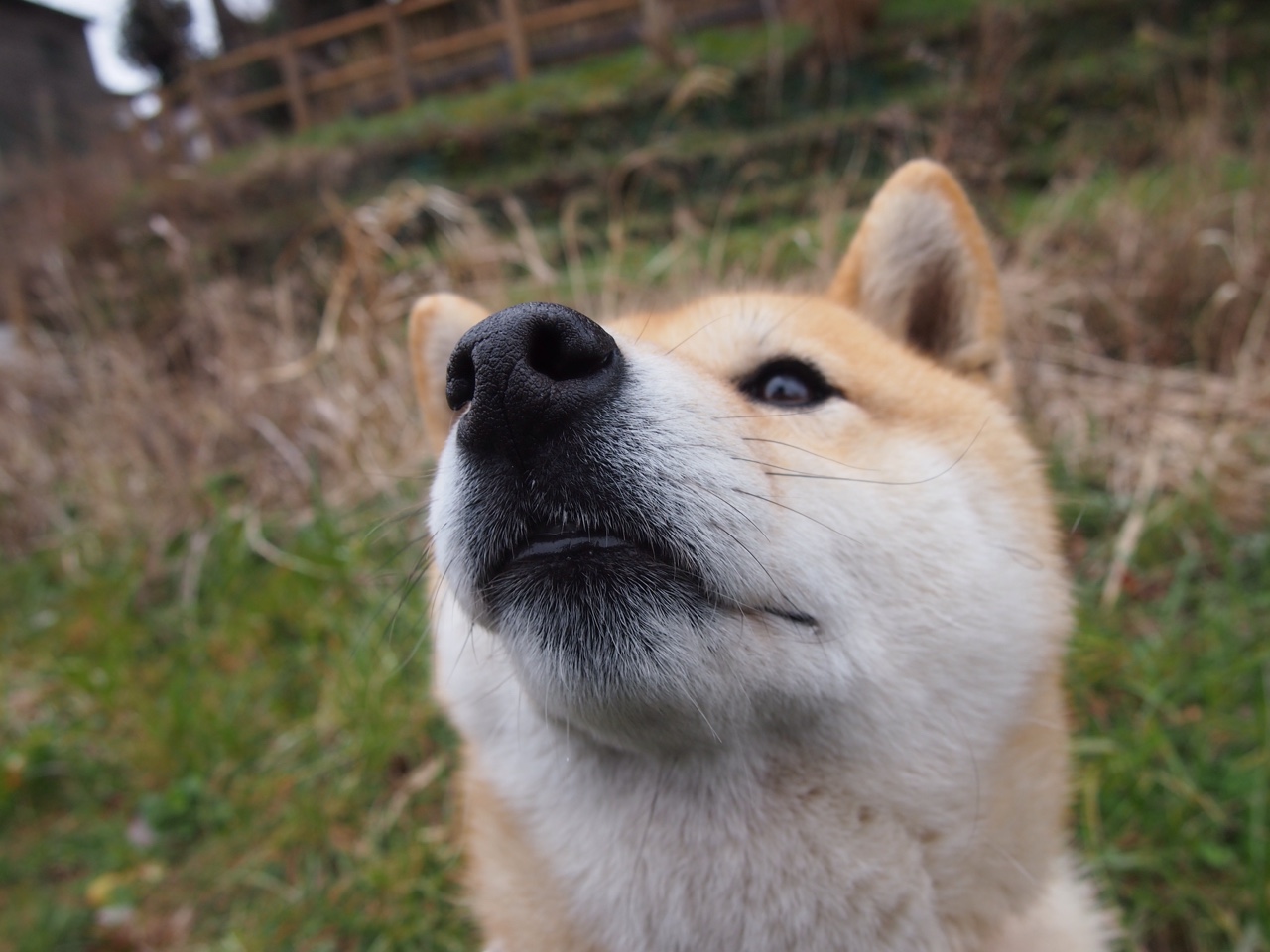 黄潜艇穿透极夜，比利亚雷亚尔绝杀芬兰，奥亚尔萨瓦尔成破冰关键先生