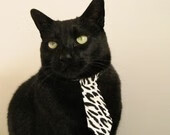 当欧冠的蓝焰遇见菲尼克斯的烈日，一个篮球迷的错位救赎之夜