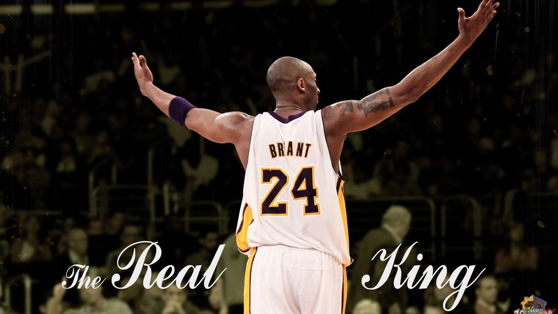 四十八小时内的双重奏，公牛与欧文的平行时刻