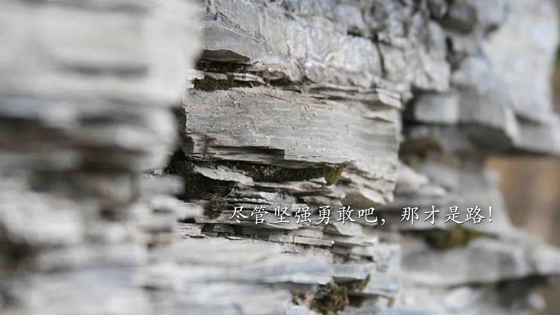 当橙色烟花提前升起，坎特如何让摩纳哥的童话沦为丹麦的序章