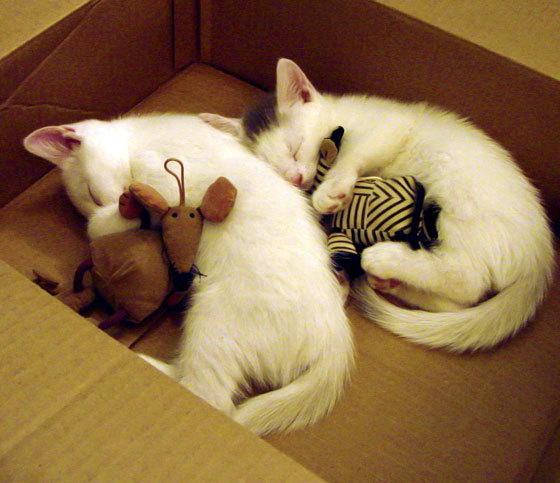 阿尔瓦雷斯灵光撕裂铁桶阵,巴萨窒息掌控碾过塞维利亚