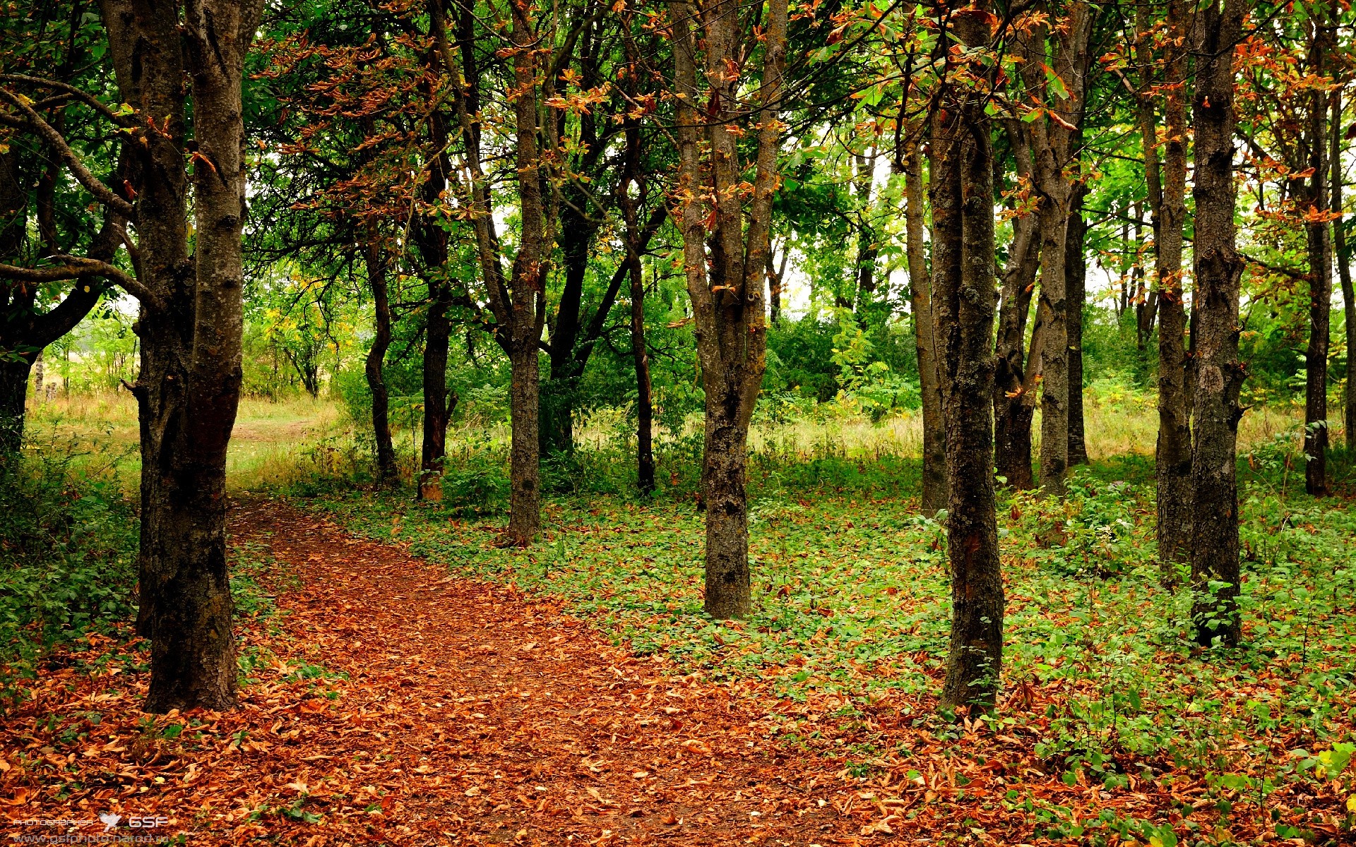 欧冠战场的预演，曼城掀翻日本背后，藏着英超争冠的终局答案