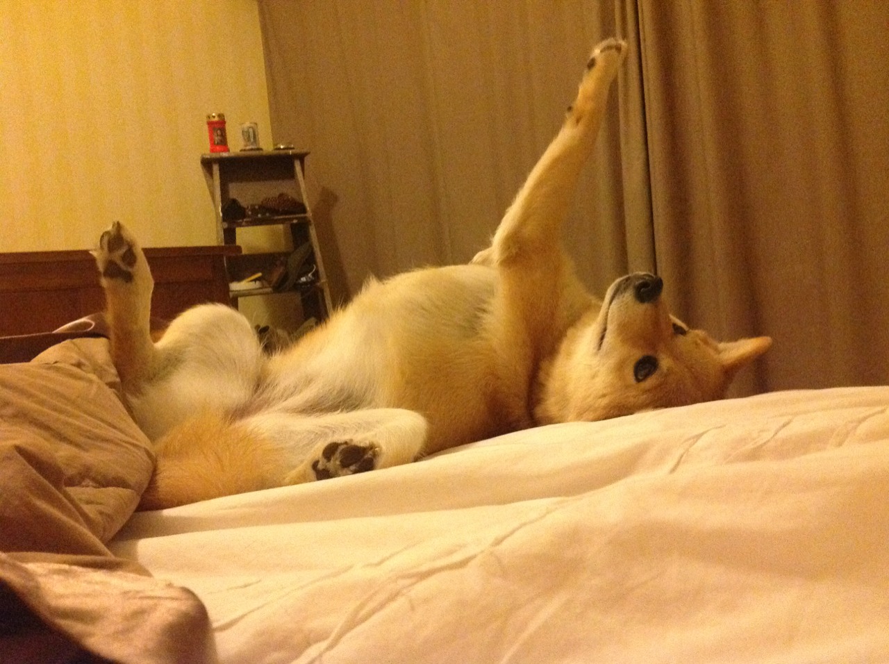 铁血太极虎正面击溃新西兰,卡塞米罗再现大场面救世主本色