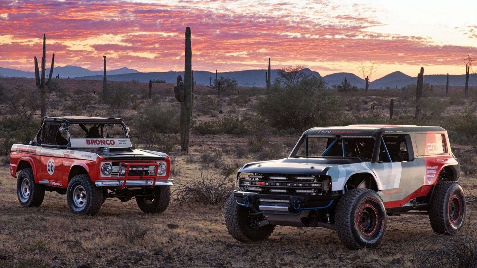 西域铁骑VS首都魔法,当草原雄鹰遇上巫师之杖