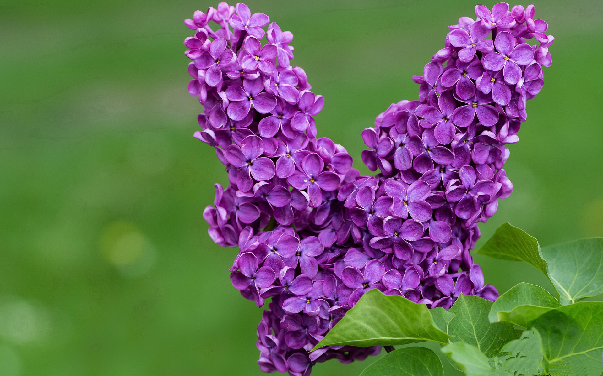 旧神的黄昏与新王的加冕,当篮球世界的平行线在宿命交叉