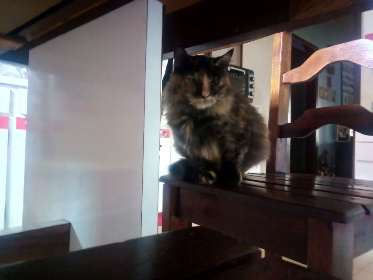 跨界风暴，当诺坎普的星光洒进斯台普斯，伦纳德如何用国家德比级表现加冕为王