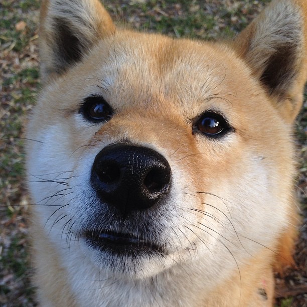 爱德华兹关键先生闪耀,凯尔特人强势粉碎广厦队