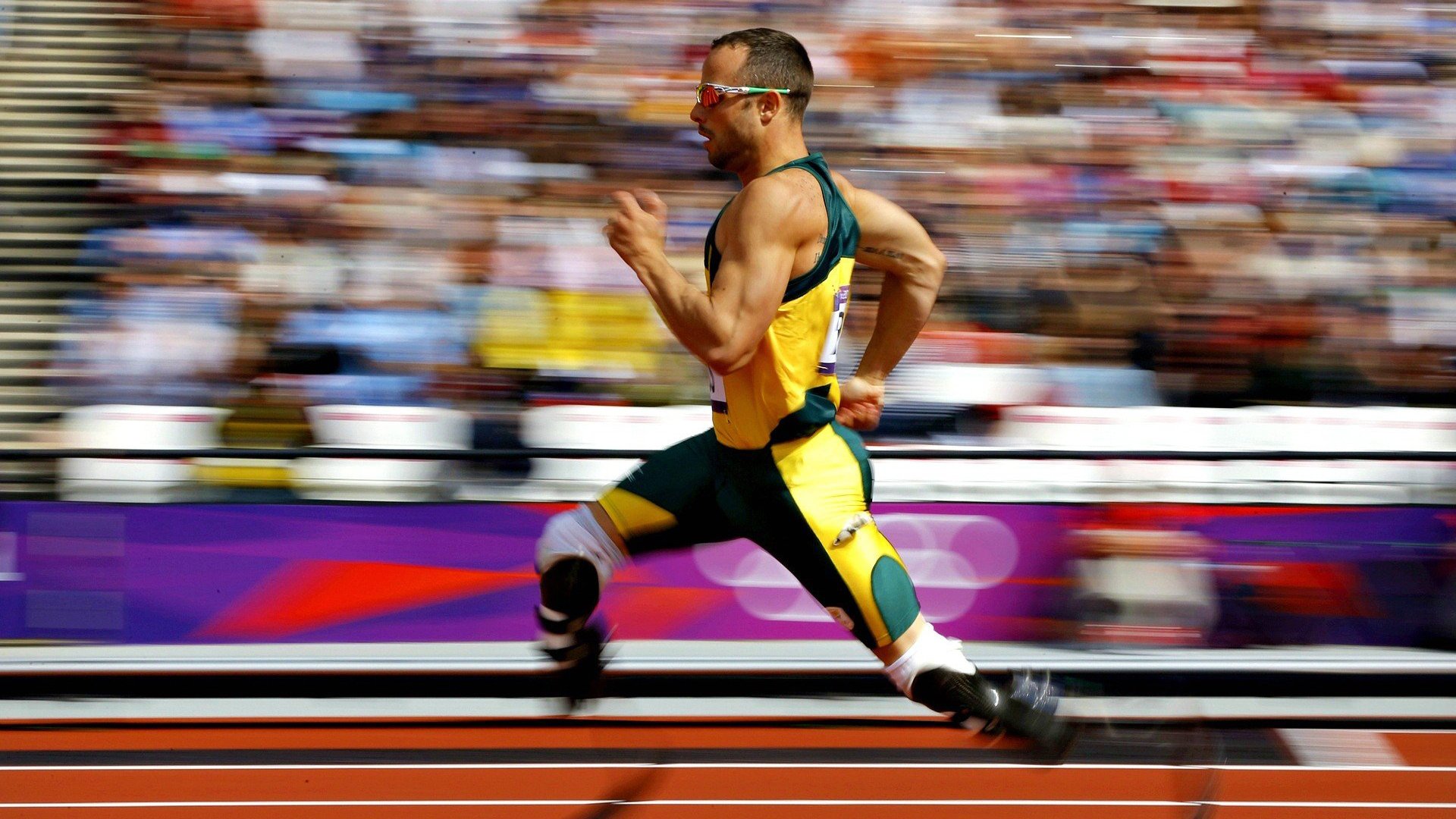 1.楚阿梅尼一剑封喉，荷兰险胜卡塔尔，中场新核终正名