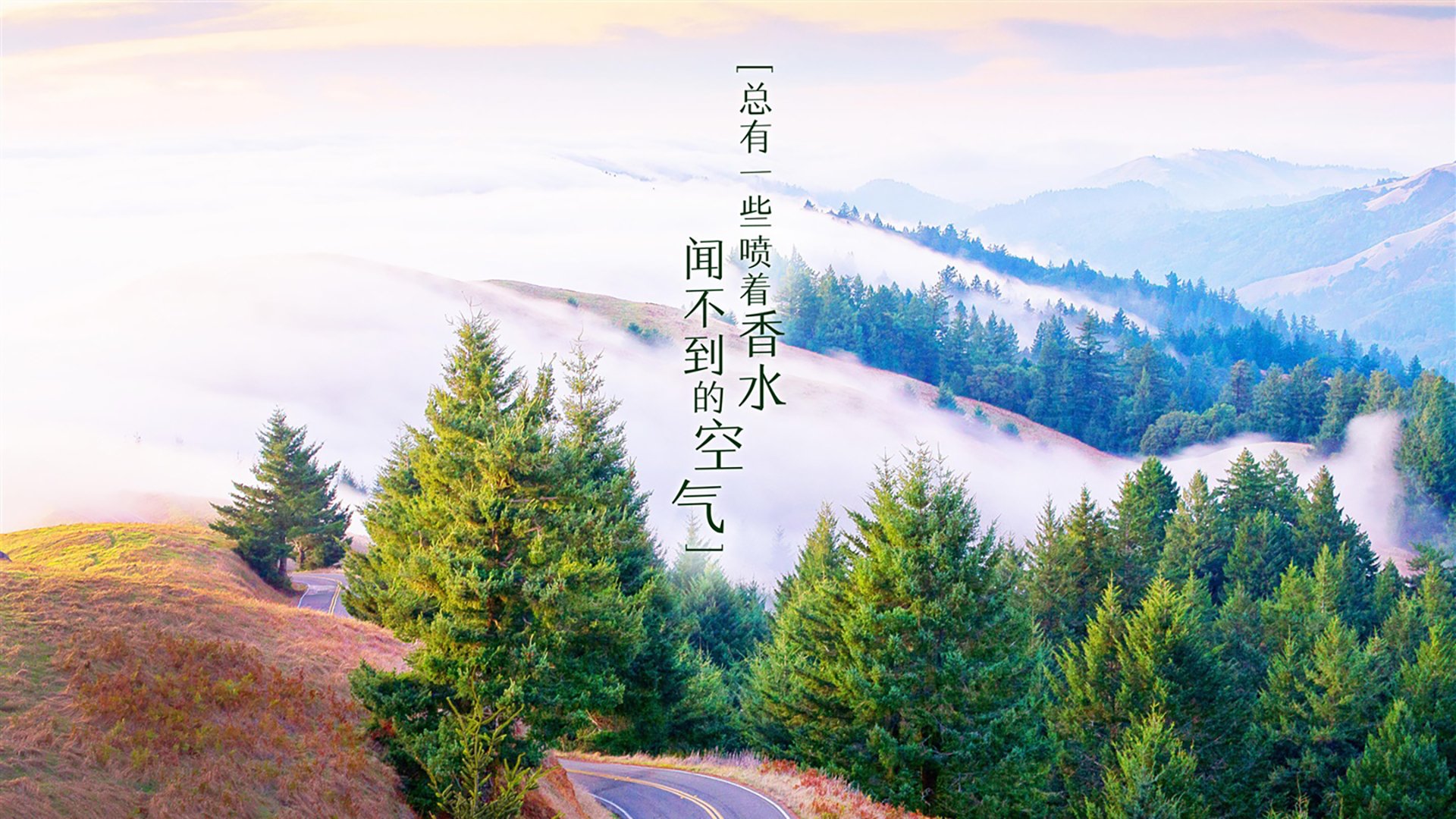 佩德里的节奏魔法,厄瓜多尔如何以唯一性击穿尼日利亚的铁血防线