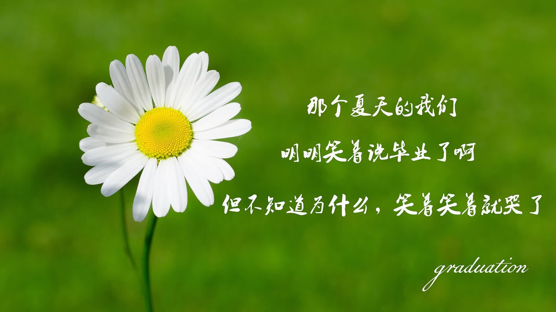 这是一篇为您定制的关于2026世界杯A组焦点战的文章，包含了主题挖掘、标题构思以及完整的叙事内容