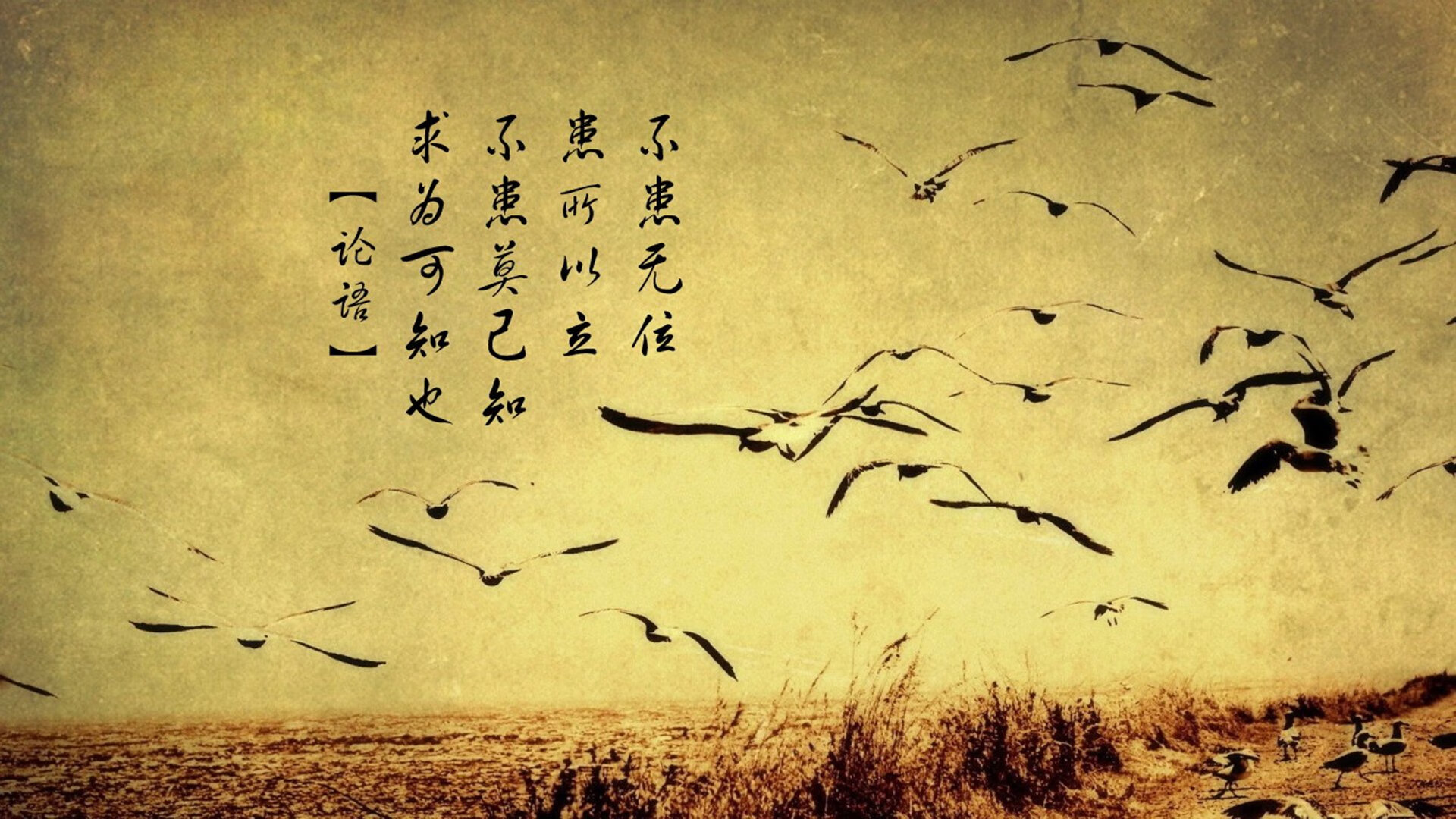 节奏之刃,当维尼修斯在2026世界杯B组对决中撕裂丹麦的钢铁防线