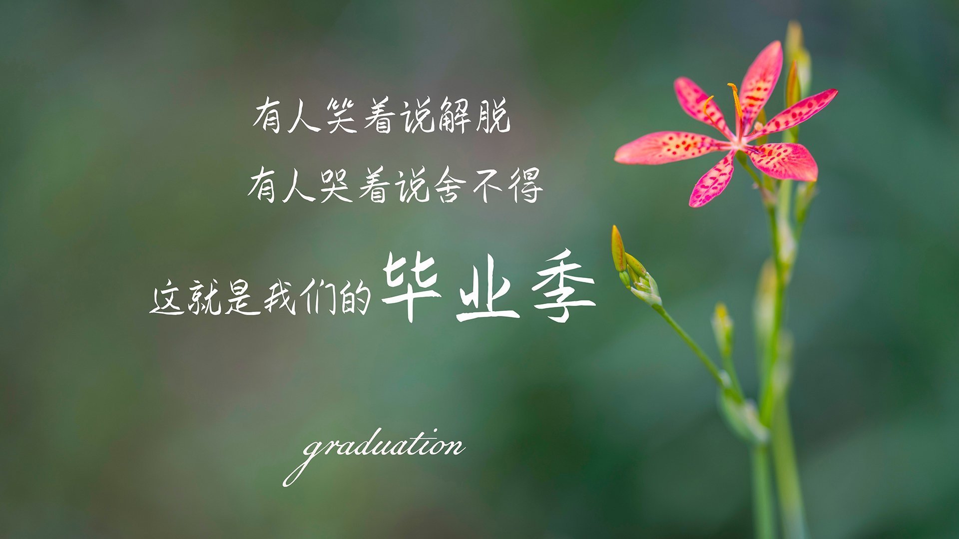 沙漠绿洲的奇迹夜,费利克斯导演压制,越南补时绝杀卡塔尔,A组暗藏冠军相